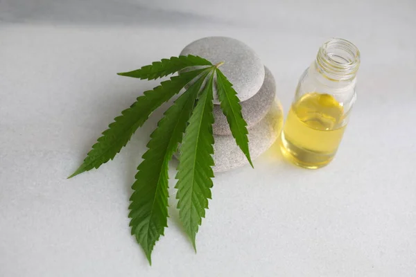 Medizinisches Marihuana Blatt Cannabis Cbd — Stockfoto