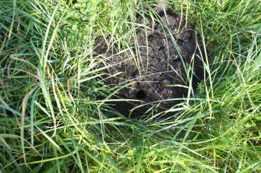 beton döşeme kompleks yol yapımı. Belarus, Minsk, 2020