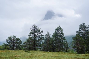 Zirve, Mount Innerdalstarnet Innerdalen Vadisi içinde. Norveç'in turistik. İskandinav Dağları