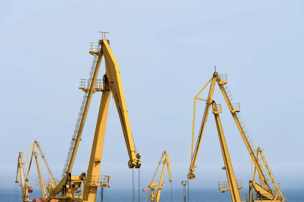 Желтые Промышленные Краны Морском Порту — стоковое фото