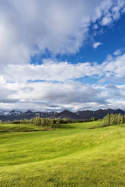 Pól Golfowych Słoneczny Krajobraz Zieloną Trawą Góry Niebo Chmurami Islandia — Zdjęcie stockowe