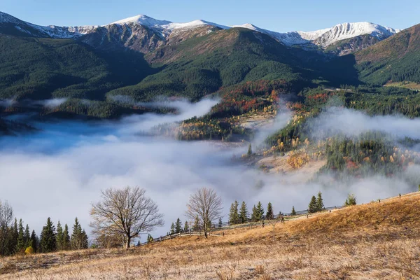 Herfst Landschap Een Bergdorpje Mooie Ochtendnevel Het Dal Schilderachtig Uitzicht — Stockfoto