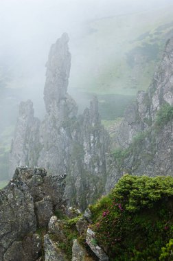 Sis dağlarda. Ormangülü buzlu. Şiddetli manzara
