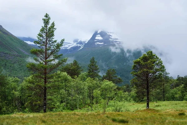 Veduta Delle Montagne Nella Valle Innerdalen Norvegia Paesaggio Estivo Con — Foto Stock