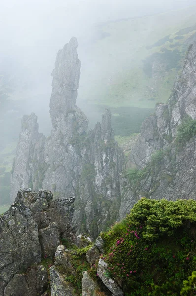 Sis dağlarda. Ormangülü buzlu. Şiddetli manzara