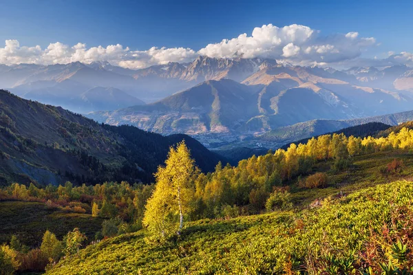 Sonbahar Manzara Bulutlar Üst Dır Orman Yamaca Huş Ağacı Mount — Stok fotoğraf