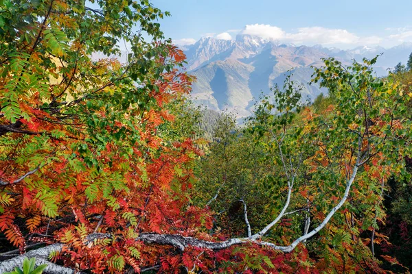 Herbstlandschaft Den Bergen Mount Ushba Blick Vom Berg Mkheer Zemo — Stockfoto