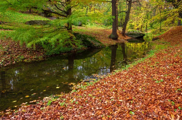 Осенний Пейзаж Река Парке — стоковое фото