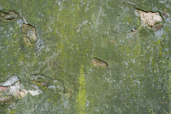 Texture Mur Avec Vieux Plâtre Couleur Verte — Photo