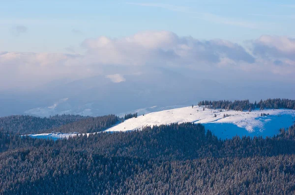 Winter Bergen Landschap Met Vuren Bos Heuvels — Stockfoto