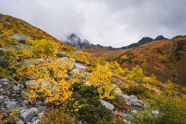 Paisaje Otoñal Las Montañas Hermosos Árboles Arbustos Ladera Cáucaso Georgia —  Fotos de Stock