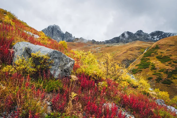 Осенний Пейзаж Горах Красивые Деревья Кусты Склоне Холма Кавказ Грузия — стоковое фото