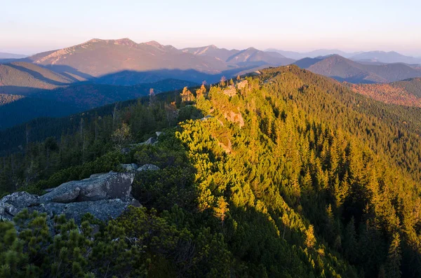 Paysage Matinal Avec Lumière Soleil Matin Arbustes Pin Montagne Sur — Photo