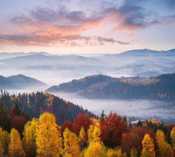 Herbstlandschaft Mit Wunderschönem Wald Den Bergen Und Morgennebel — Stockfoto