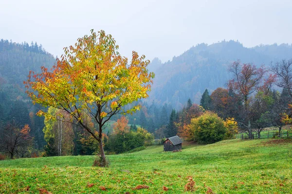 Podzimní Venkovská Krajina Mlhou Dřevěná Chata Louce Horách — Stock fotografie