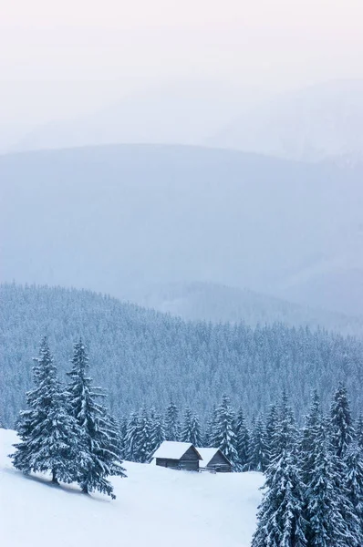 梦幻般的冬季景色 在山上的空地上的木房子 雪下的云杉森林景观 — 图库照片