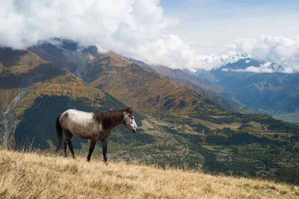 Gray Horse Mountains Zemo Svaneti Georgia Town Mestia — Stock Photo, Image