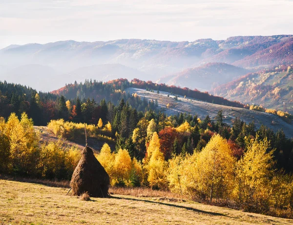 Autumn Landscape Haystack Meadow Beautiful Deciduous Forest Hills Sunny Weather — Stock Photo, Image