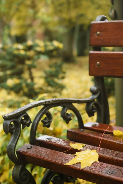 Foglia Acero Autunnale Una Panchina Nel Parco — Foto Stock