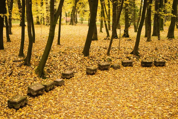 Autumn Park Landscape Road Yellow Maple Leaves October — Stock Photo, Image