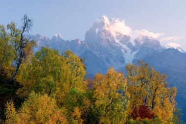 Sonbahar manzara. Bulutlar üst dır. Orman yamaca huş ağacı. Mount Mkheer görünümden. Ana Kafkas ridge. Zemo Svaneti, Gürcistan 