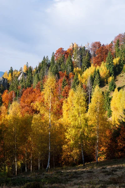 Autumn Landscape Rock Birch Spruce Forest Mountains Sunny Day Haze — Stock Photo, Image