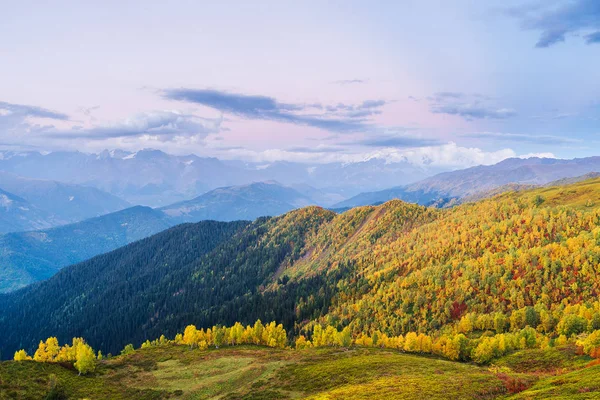 풍경입니다 산에서 날입니다 Mkheer 자작나무 Svaneti 조지아 — 스톡 사진