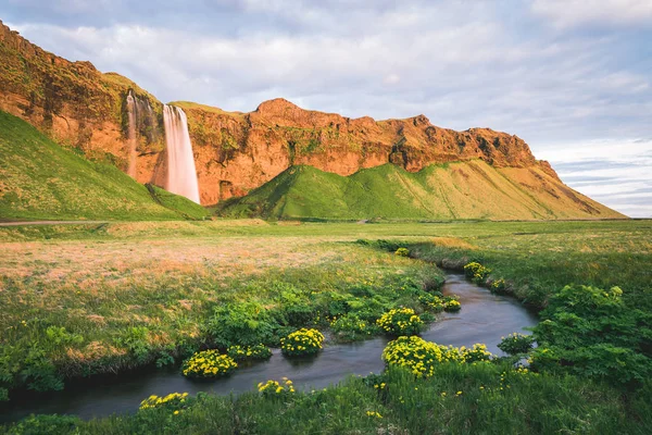 セリャラントスフォスの滝 川の夏の風景 夕日の驚くべき光 谷には黄色い花 アイスランドの有名な観光スポット — ストック写真