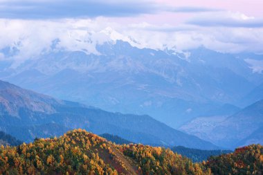 Sonbahar manzara. Bulutlu gün dağlarda. Dağda Mkheer huş ağacı. Zemo Svaneti, Gürcistan 