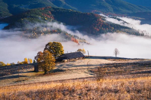 Herbstlandschaft Mit Morgennebel Den Bergen — Stockfoto