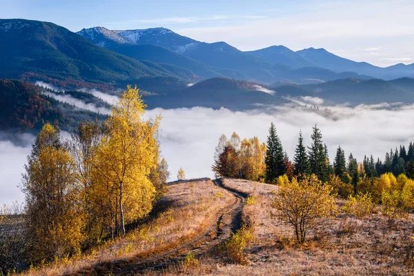 Живописная Горная Дорога Осенний Пейзаж Утренним Туманом Красивый Лес Холмах — стоковое фото