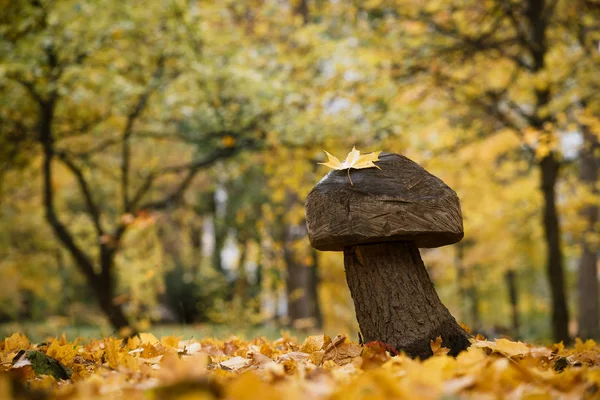 Park Ahşap Dekor Ile Sonbahar Manzara — Stok fotoğraf