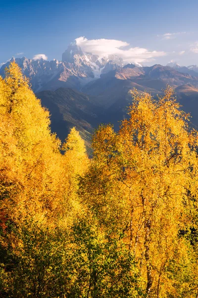 Herbstlandschaft Oben Ushba Wolken Birkenwald Hang Blick Vom Mount Mkheer — Stockfoto