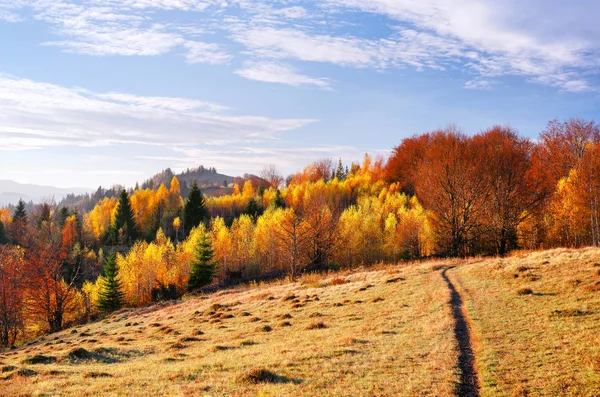 Schilderachtige Bergweg Herfst Landschap Met Een Ochtendmist Prachtig Bos Heuvels — Stockfoto