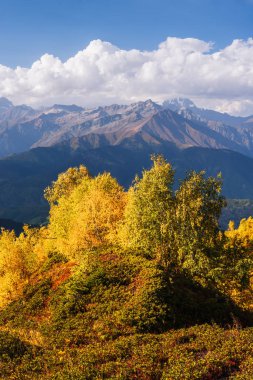 Sonbahar manzara. Bulutlar üst dır. Orman yamaca huş ağacı. Mount Mkheer görünümden. Ana Kafkas ridge. Zemo Svaneti, Gürcistan 