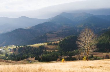 Sonbahar manzara bir ağaç yaprakları olmadan. Dağ köyü ve bulutların üstleri görünümü