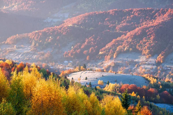 Осенний Пейзаж Красивым Лиственным Лесом Горах Солнечная Погода Утром Карпаты — стоковое фото