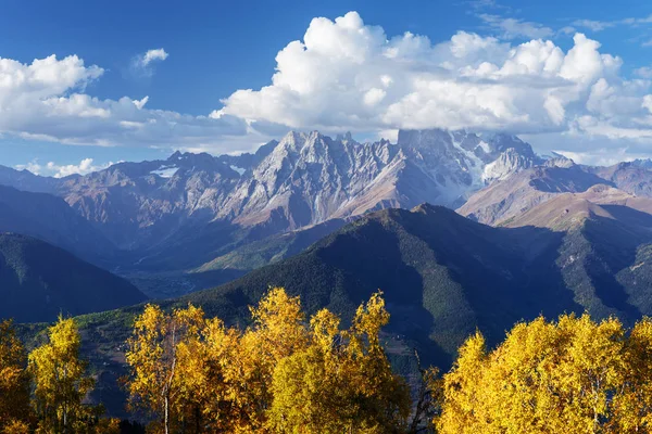 Paesaggio Autunno Top Ushba Nuvole Foresta Betulle Sulla Collina Vista — Foto Stock