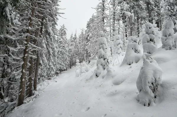 Vinter Landskap Med Skog Snön Väg Bergsdal — Stockfoto