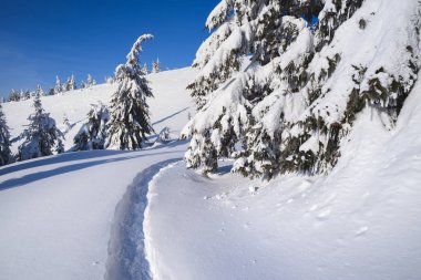 Kar kış ormanda. Bir patika ile dağ manzarası. Güneşli gün ve soğuk hava
