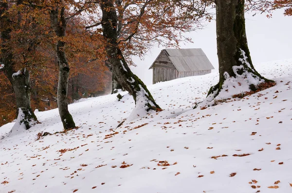 Herbstlandschaft Mit Dem Ersten Unerwarteten Schnee Alte Holzhütten Auf Einem — Stockfoto