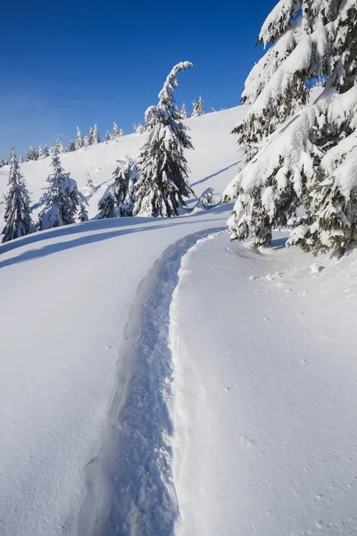 Winterwald Schnee Berglandschaft Mit Fußweg Sonniger Tag Und Frostiges Wetter — Stockfoto