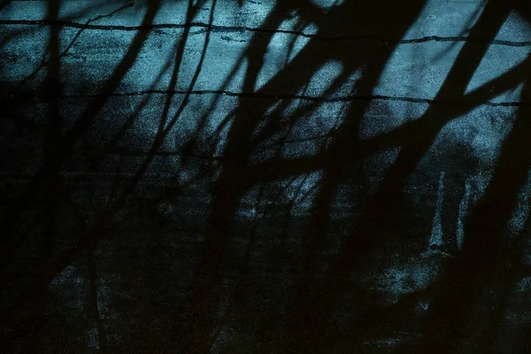 ハロウィーン パーティー デザインの背景 窓の外の不気味な光で暗い夜 ひどい枝のシルエット — ストック写真