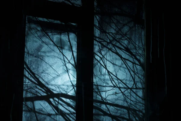 Halloween Juhlien Suunnittelun Tausta Siluetoidut Puiden Oksat Ikkunan Ulkopuolella Synkkä — kuvapankkivalokuva