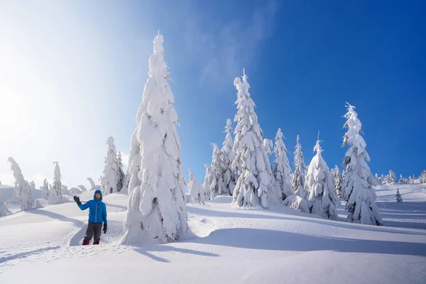 Mountain Hiking Winter Fir Trees Snow Sunny Day Blue Sky — Stock Photo, Image