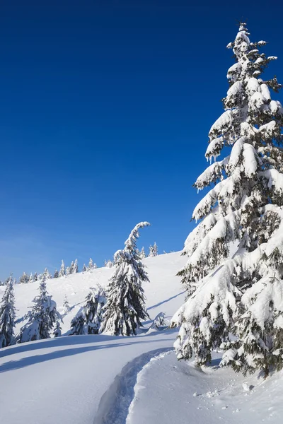 Bosco Invernale Nella Neve Paesaggio Montano Con Sentiero Giorno Soleggiato — Foto Stock