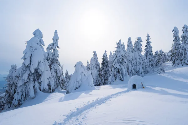 Iglú Nieve Invierno Las Montañas Paisaje Con Refugio Para Turistas — Foto de Stock