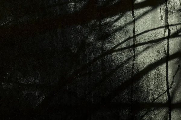 ハロウィーン パーティー デザインの背景 窓の外の木の枝のシルエット 暗いと怖い件 — ストック写真