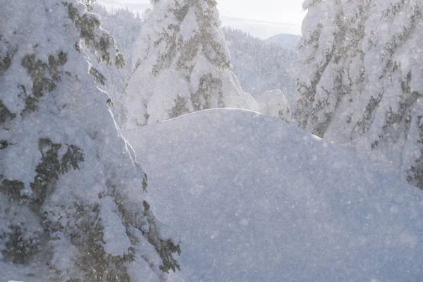 Kerstmis Achtergrond Met Kopie Ruimte Vallende Sneeuwvlokken Besneeuwde Sparren Sneeuwlaag — Stockfoto