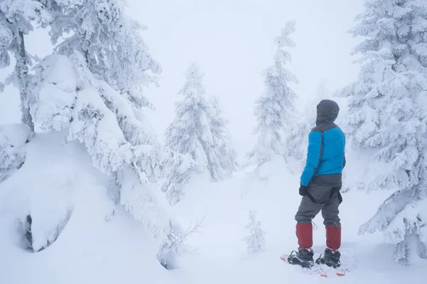 Turist Vinter Vandra Med Snöskor Äventyr Skogen Snö Gran — Stockfoto